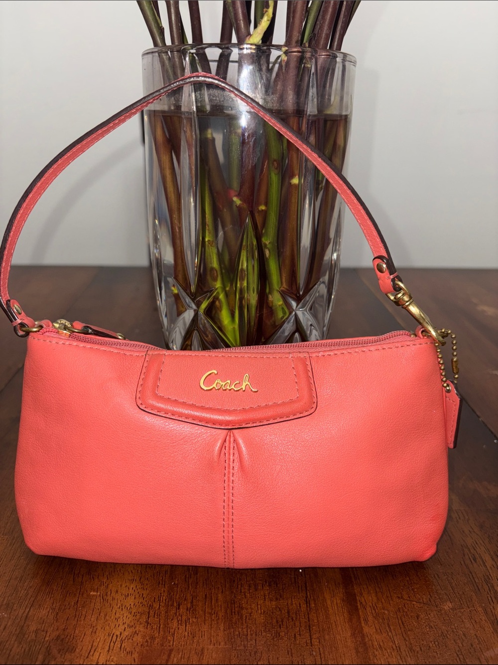 Coach Ashley Burnt Orange Large Leather Wristlet in EUC